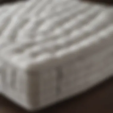 Hybrid mattress combining foam and springs for optimal support