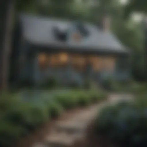 Charming cottage in Blue Ridge