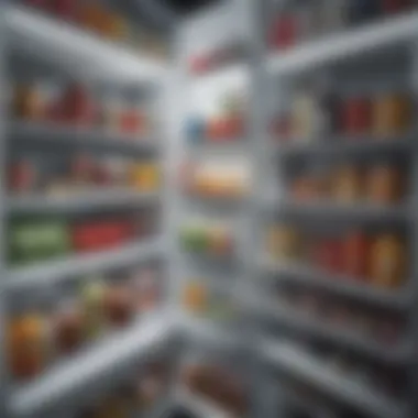 Organized Refrigerator Interior Interior view of a refrigerator showcasing organized compartments