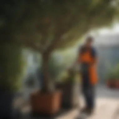 A gardener tending to a tree in a container, focusing on maintenance