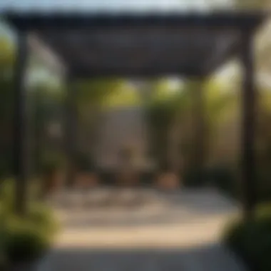 Dramatic Light and Shadow Effects Aesthetic interplay of light and shadow beneath a pergola