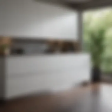 Modern minimalist kitchen showcasing a sleek cabinet design