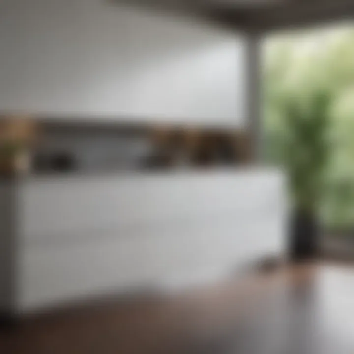 Modern minimalist kitchen showcasing a sleek cabinet design