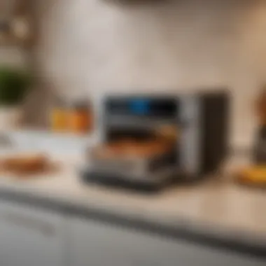 Innovative Interior Features of Wolf Toaster Oven Air Fryer An open Wolf toaster oven air fryer displaying its innovative interior features