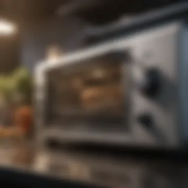 Effective Maintenance for Longevity Close-up of toaster oven maintenance tips