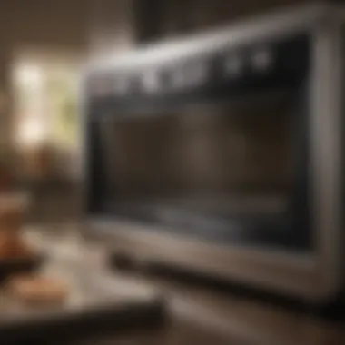 The Benefits of Stainless Steel Interiors Toaster oven showcasing a stainless steel interior