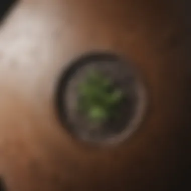 Importance of Drainage Holes for Plant Health Close-up of drainage holes in a large pot