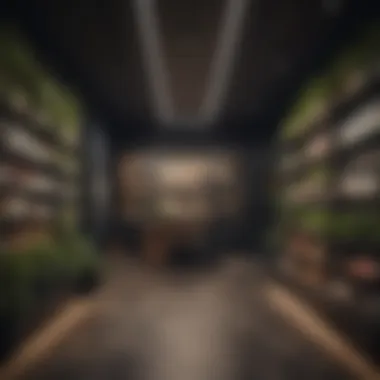 Customer-Centric Design Inviting walk-in retail space that enhances customer experience
