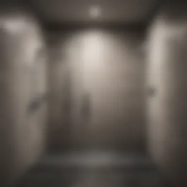 Modern walk-in shower with minimalist design elements