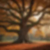 A majestic oak tree with intricate branches showcasing autumn leaves.