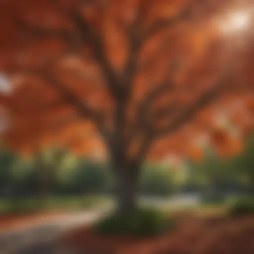 Vibrant foliage of a fast-growing shade tree in full bloom