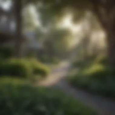 Well-maintained front yard landscaping