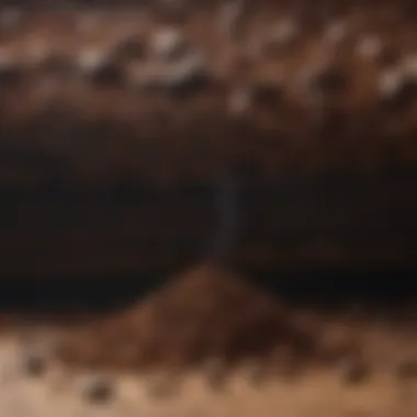 Composting Layers with Coffee Grounds Visual representation of composting layers including coffee grounds