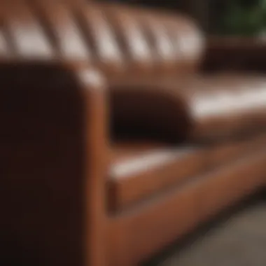 Leather Sofa Maintenance Guide Maintenance tips for leather sofas displayed visually
