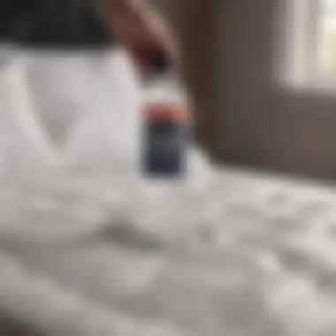 Person sprinkling baking soda over a mattress