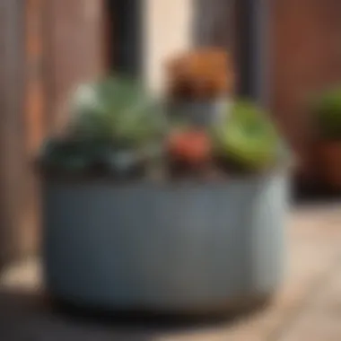 Metal Container Arrangement Elegant metal containers showcasing a variety of succulents