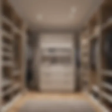 Clever Organization in Compact Closets Clever organization within a compact closet space