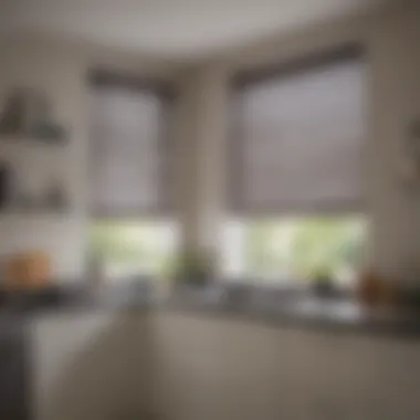 Sheer Blinds for Light Control and Privacy Sheer fabric blinds allowing natural light while ensuring privacy
