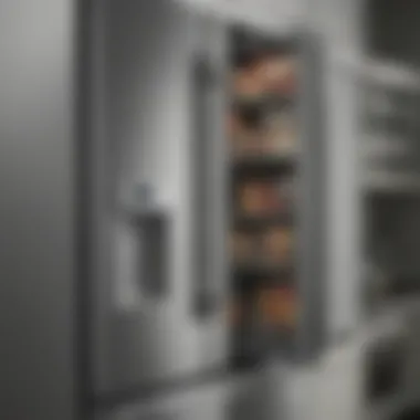 Close-up of KitchenAid French Door Refrigerator features