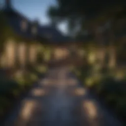 Elegant garden illuminated at dusk