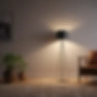 Minimalistic Floor Lamp Enhancing Aesthetic Stylish floor lamp in minimalistic interior