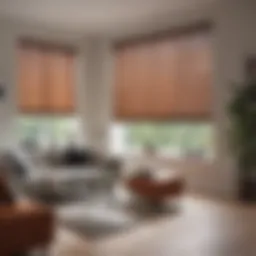Elegant modern living room with sleek window blinds