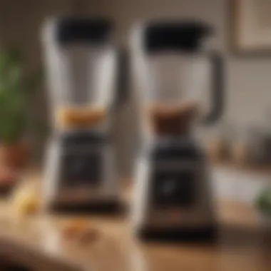 Performance Comparison of Budget Blenders Infographic comparing performance metrics of budget blenders