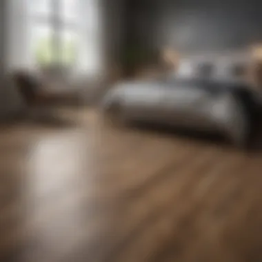 Sleek Laminate Design Sleek laminate flooring showcasing modern design