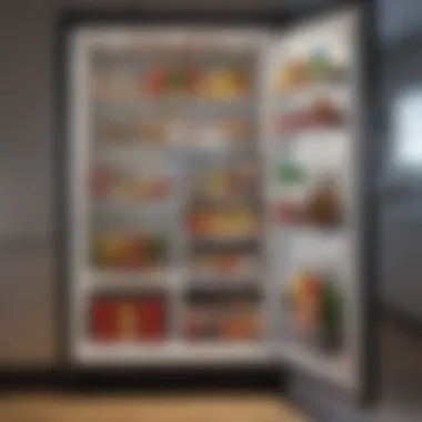 Innovative Storage Solutions Interior view showcasing optimized storage solutions in a tiny fridge.