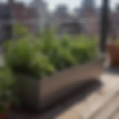 Cultivating a Compact Herb Garden in Planters Herb garden thriving in compact planters on a balcony