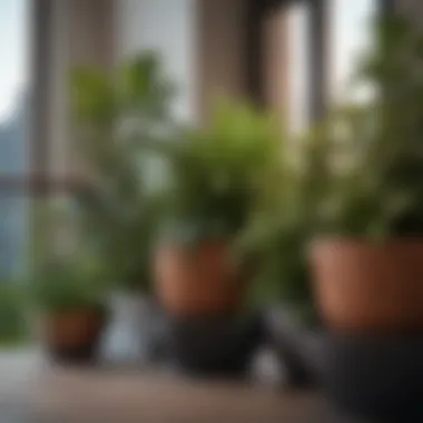 Layered Planter Designs for Enhanced Garden Space Balcony garden featuring layered planter designs