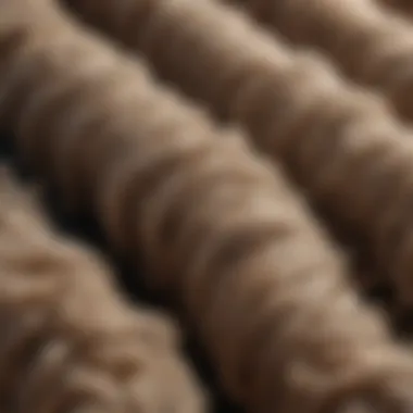 Wool Fiber Texture A close-up of wool fibers showcasing their texture