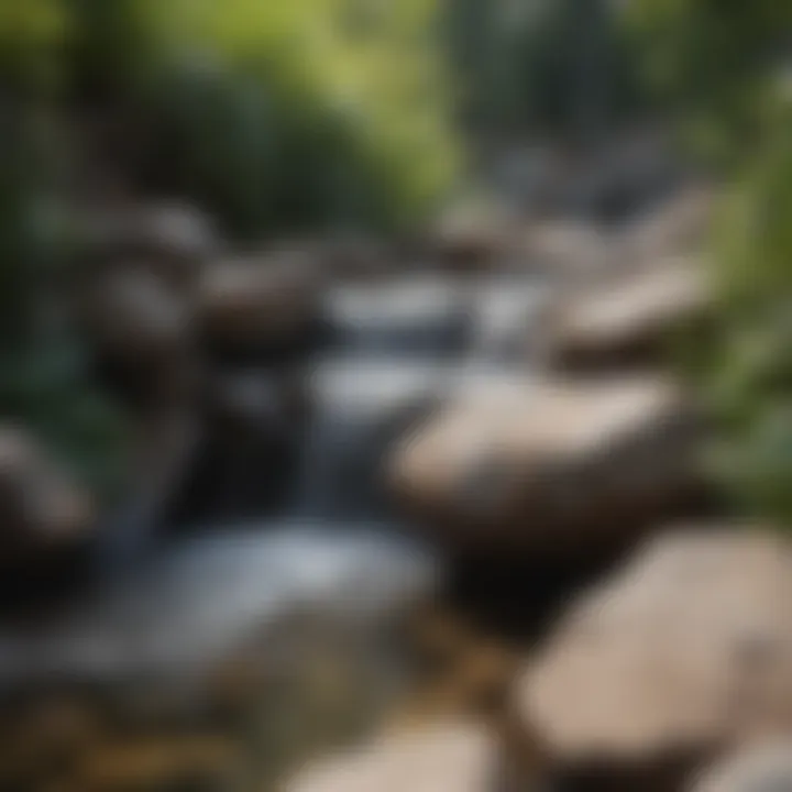 Close-up of natural stones and water flowing in a backyard waterfall