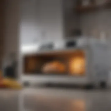 Highlighting the modern design of a large toaster oven