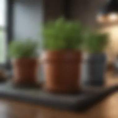 Materials that Enhance Indoor Herb Growth Materials used for herb pots in indoor gardening