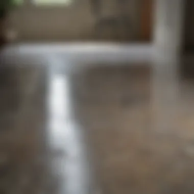 Before and After Polishing A stunning before and after comparison of a polished stone floor