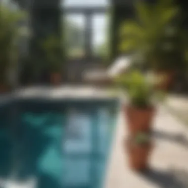 Diverse Selection of Plants Around the Pool A variety of potted plants near a swimming pool