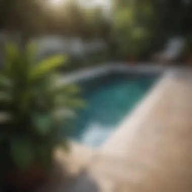 Potted Plants Beautifying the Pool Area Lush greenery enhancing the poolside