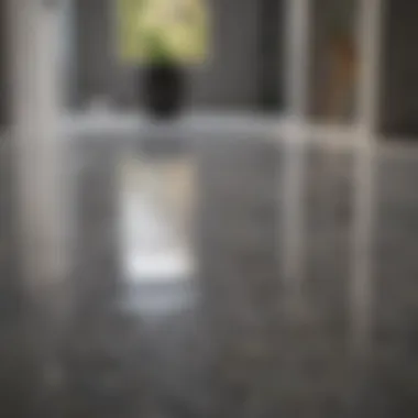 Sustainable Solutions for Stone Surface Care Eco-friendly cleaning products displayed in a modern environment