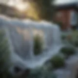 A garden covered with frost protection cloth