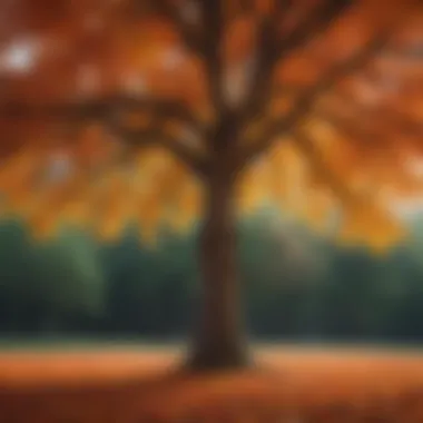 Seasonal Beauty of a Fast-Growing Tree Seasonal changes in a fast-growing tree with colorful leaves