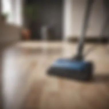 Essential Tips for Home Hygiene Tips for maintaining cleanliness