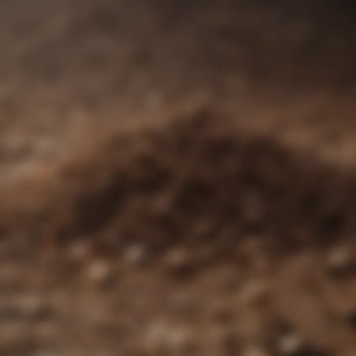 Close-up of soil texture for optimal seed growth