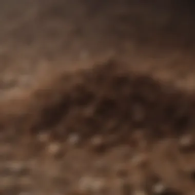 Understanding Soil Texture Close-up of soil texture for optimal seed growth