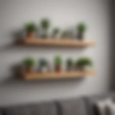 Floating shelves adorned with plants and decorative items