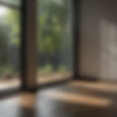 Effective Moisture Removal Techniques Moisture removal techniques for windows
