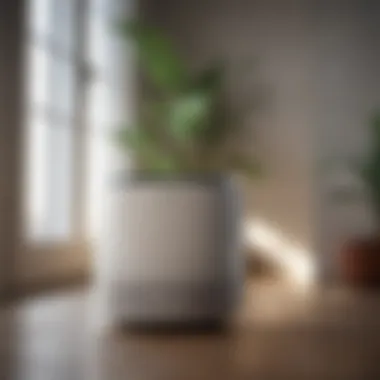 Compact air purifier in a small room