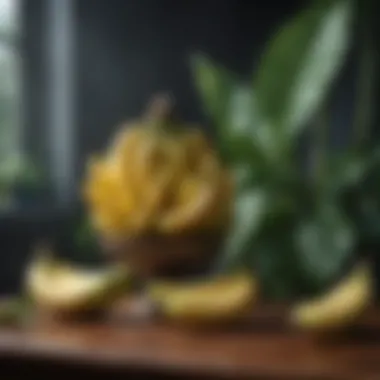 Artistic Arrangement of Bananas and Leaves An artistic arrangement of bananas and leaves in design