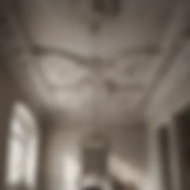Common Damage in Plaster Ceilings An example of common damage found in old plaster ceilings