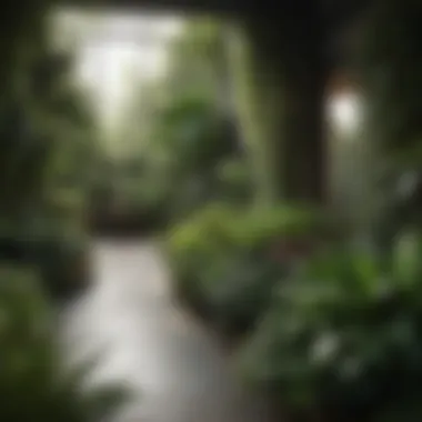 Diverse Plant Selection Selection of diverse plants ideal for a garden